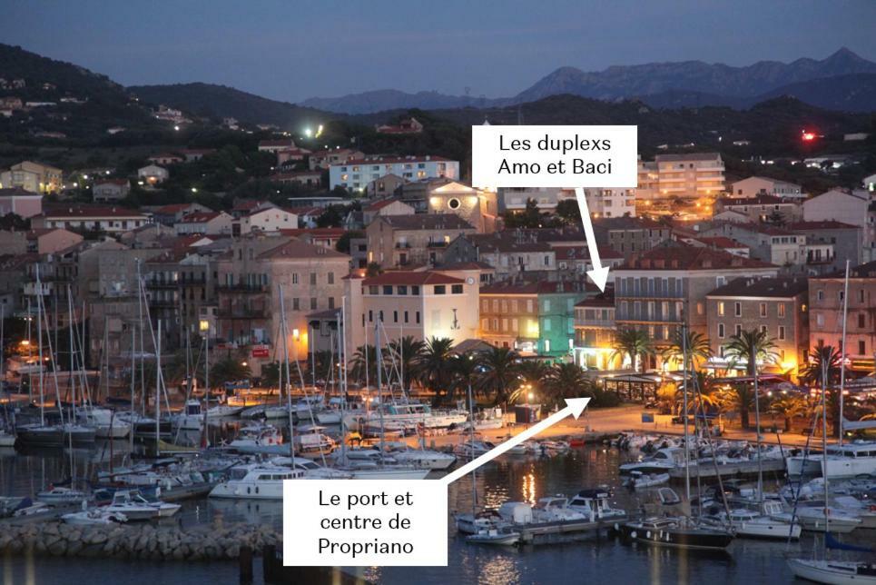 Duplex En Plein Centre Apartment Propriano  Bagian luar foto